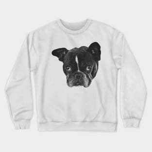 Boston Terrier Dog head Crewneck Sweatshirt